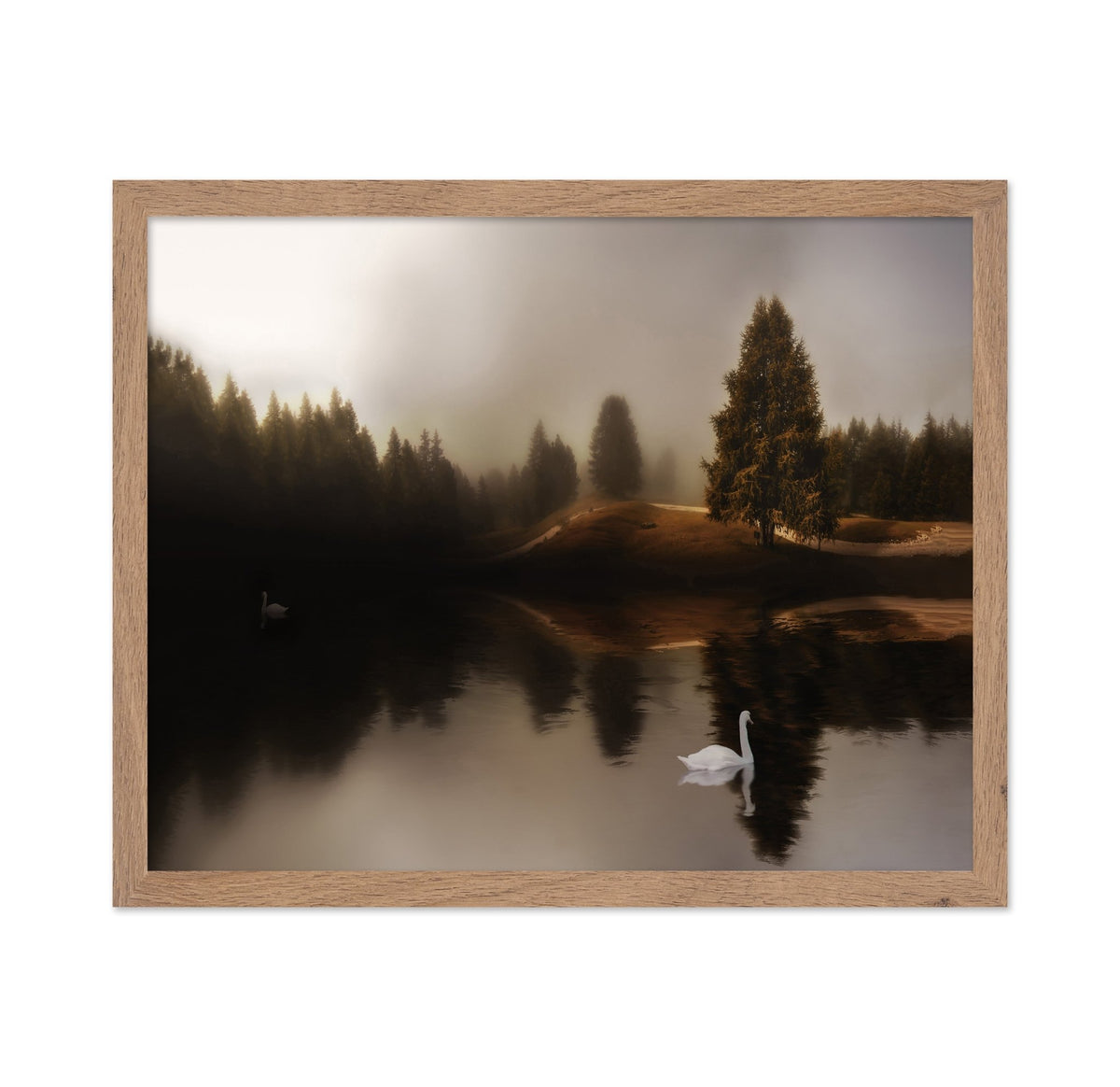 Swan Lake Mist