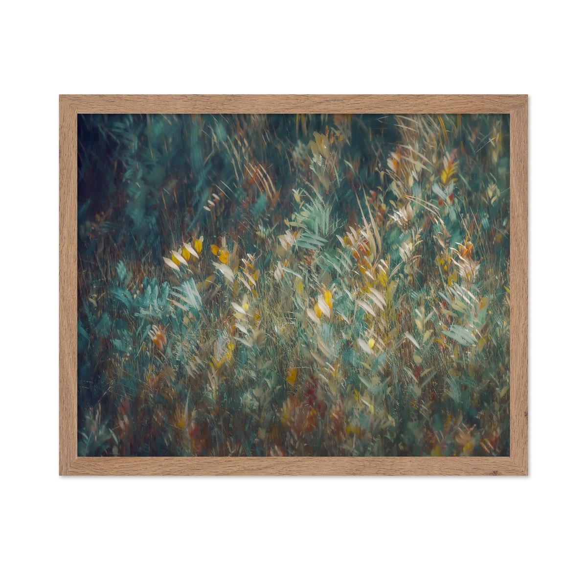 Wild Grass Field