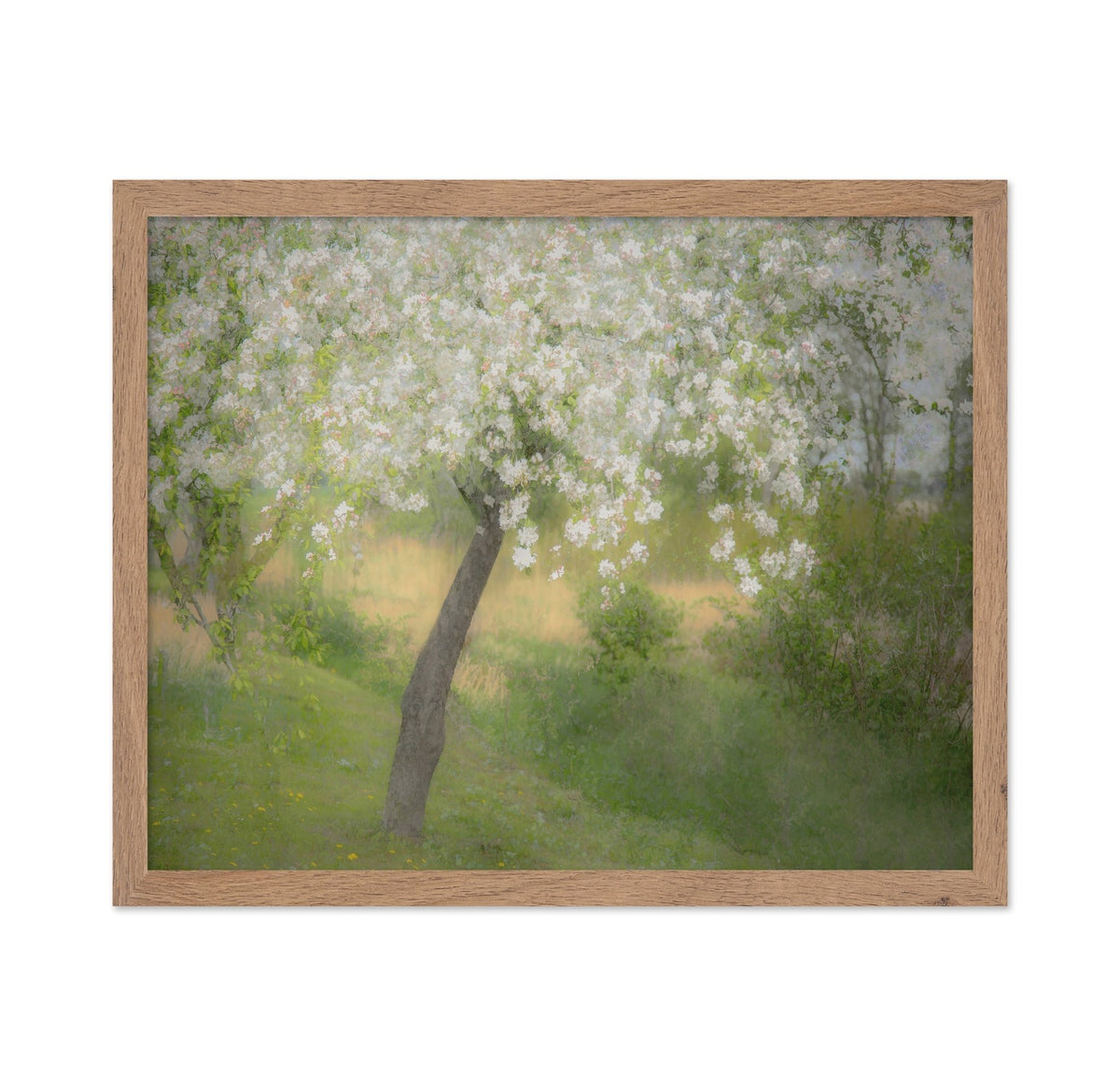 Blossoming Garden Tree