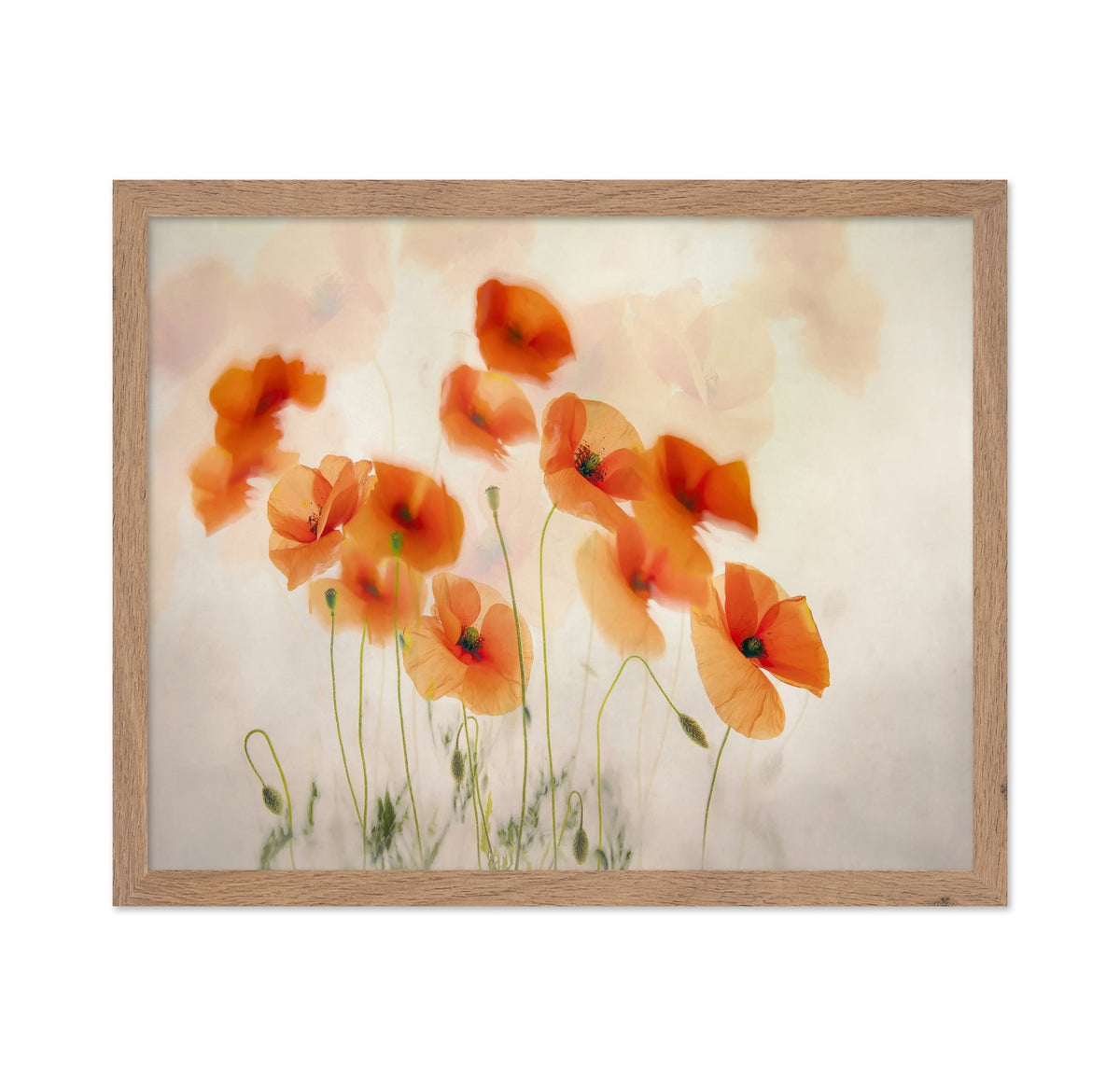 Orange Poppies Field