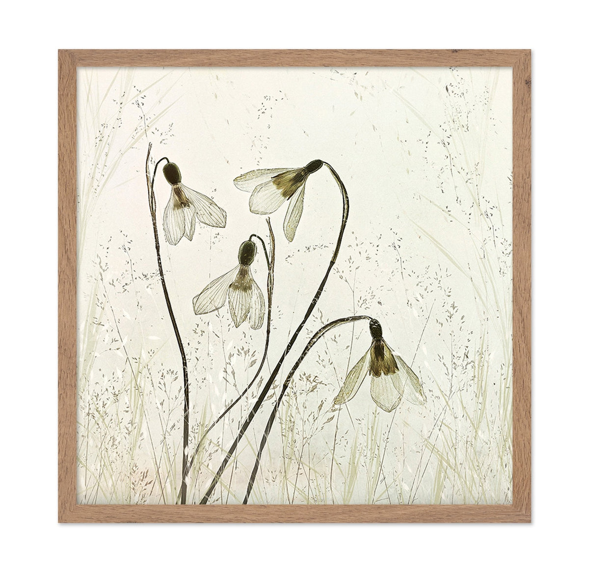 Vintage Snowdrop Flowers