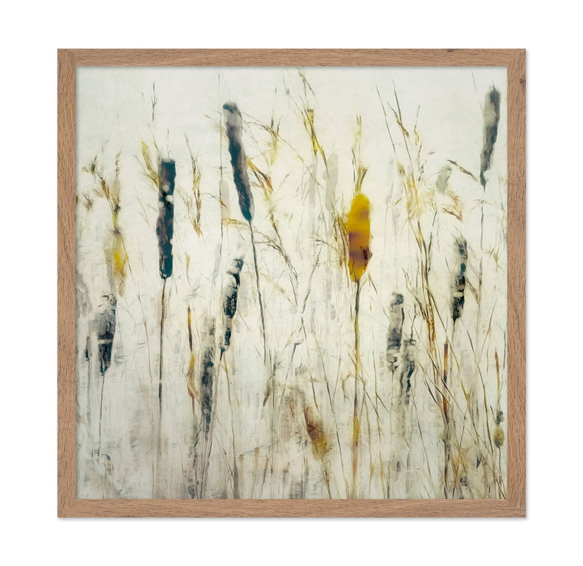 Soft Marsh Reeds