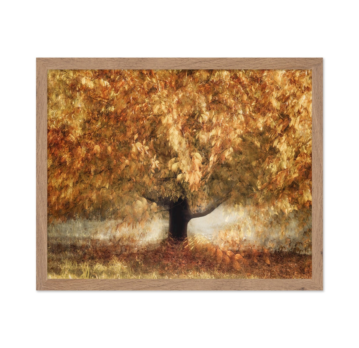 Golden Autumn Tree