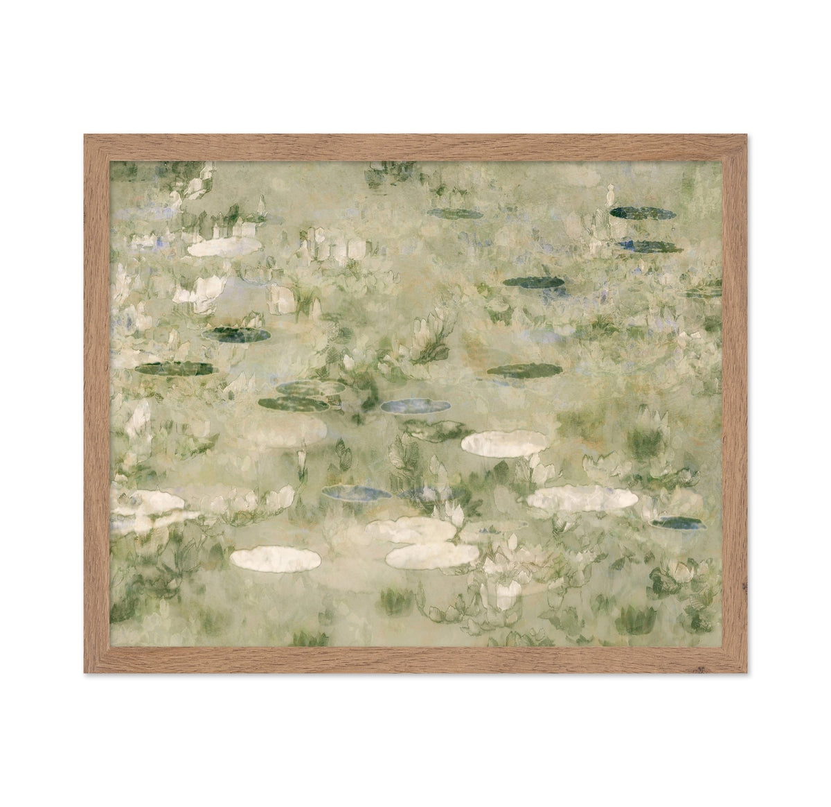 Water Lily Pond