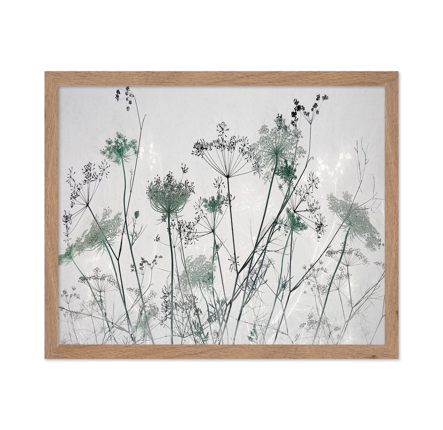 Wildflower Silhouette No1
