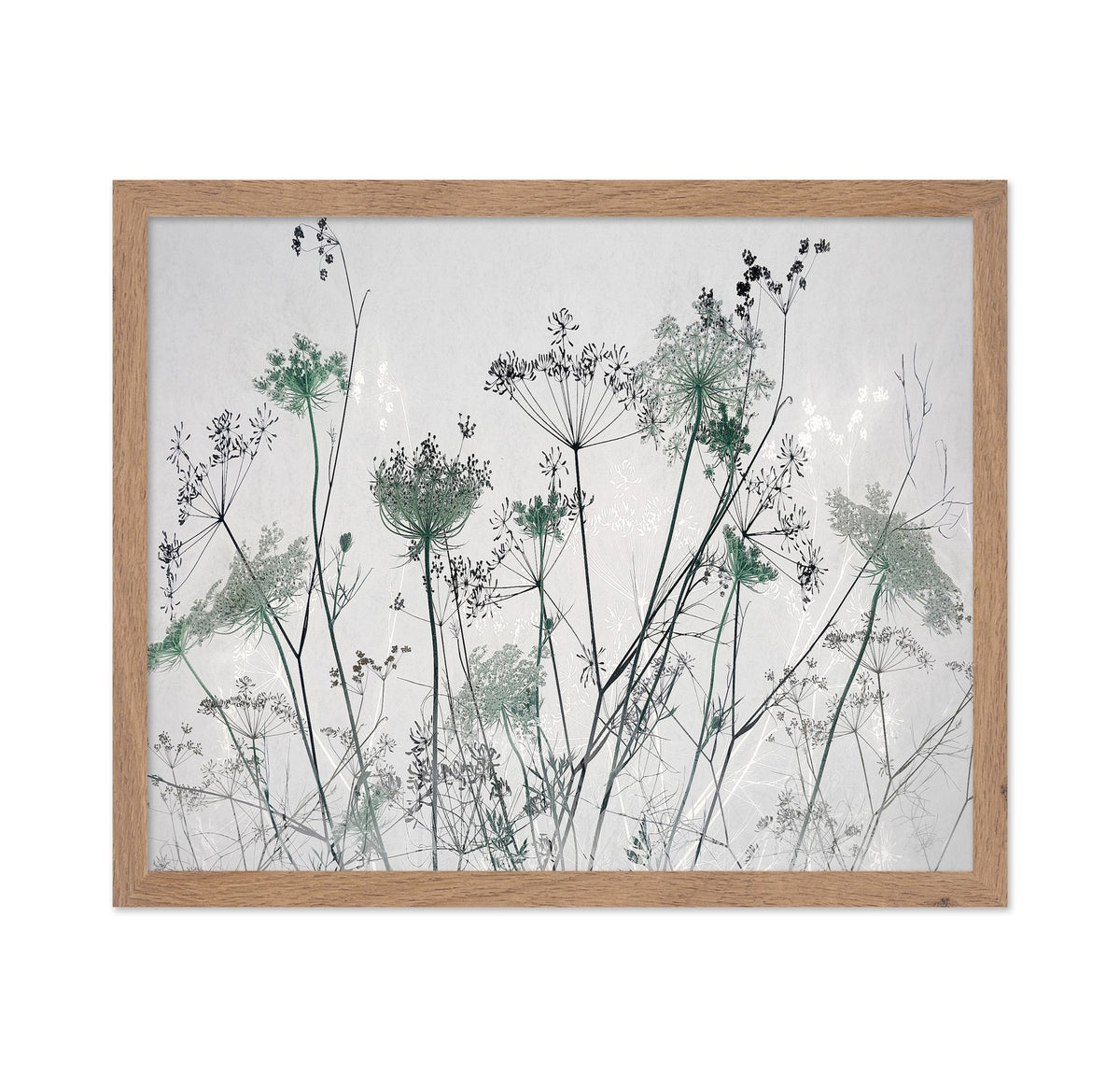 Wildflower Silhouette No1