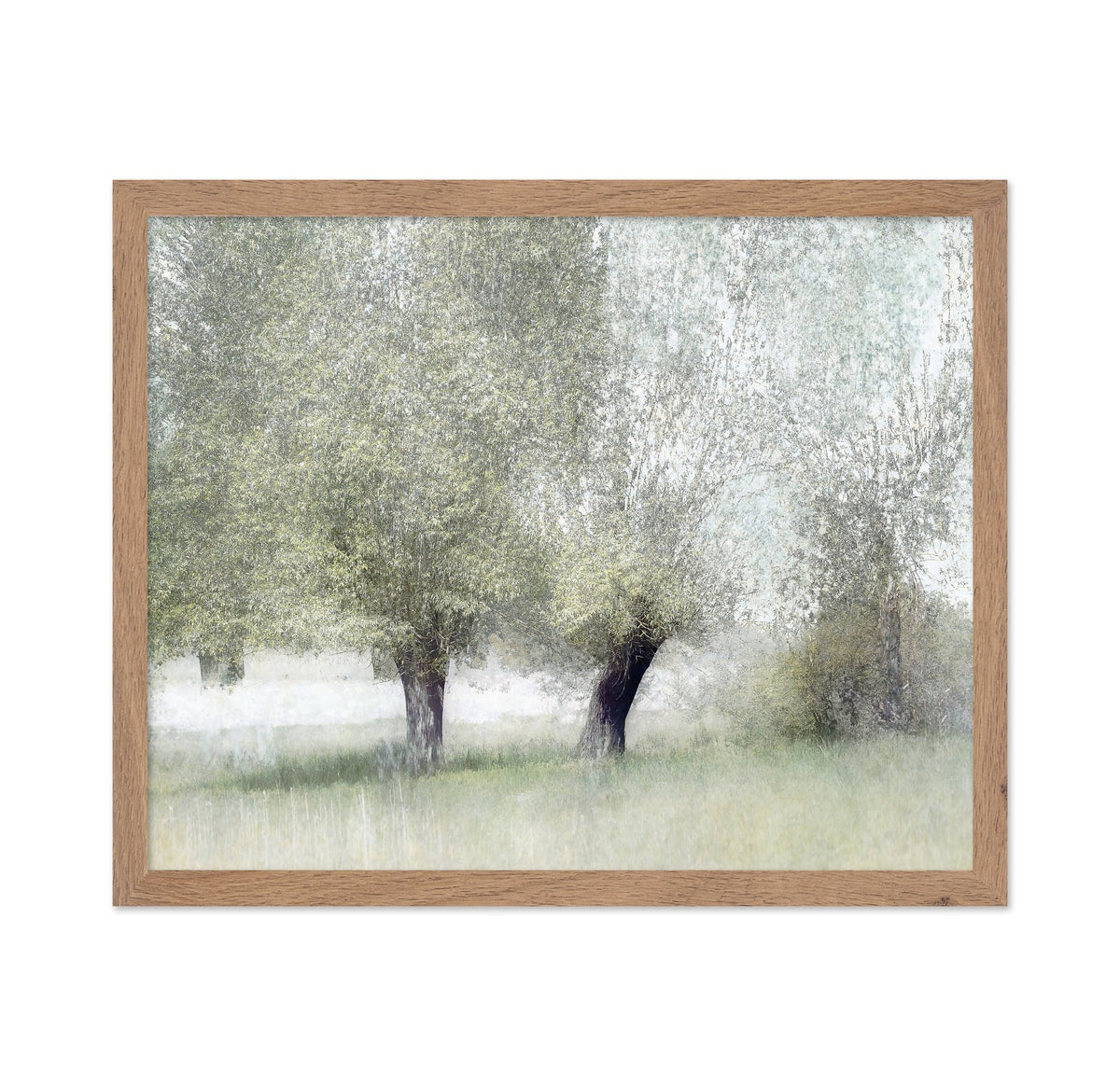 Soft Spring Trees
