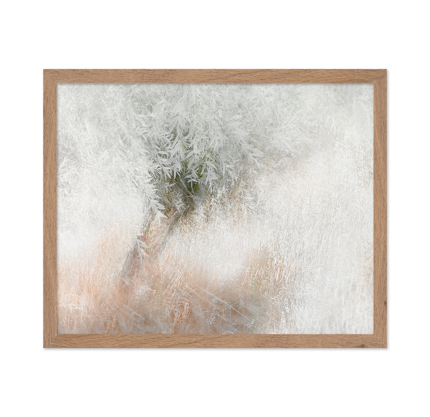 Gentle Frosted Tree