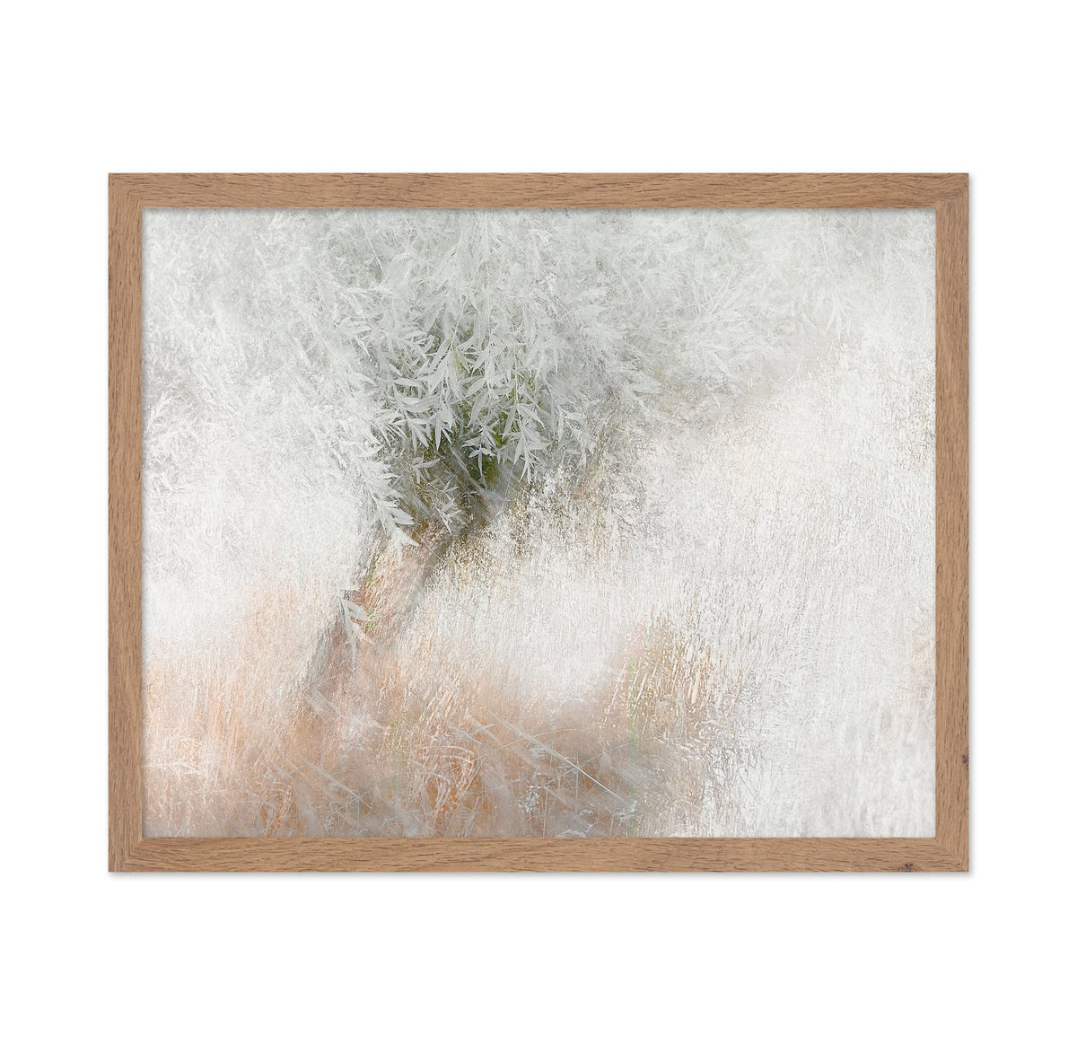 Gentle Frosted Tree