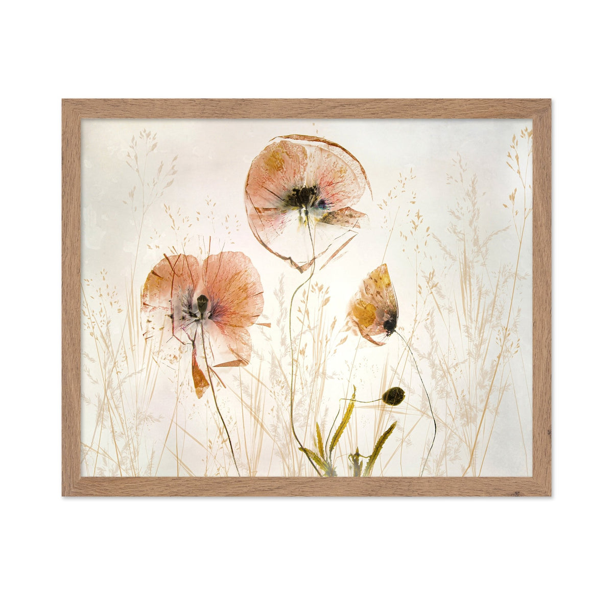 Soft Poppy Whisper