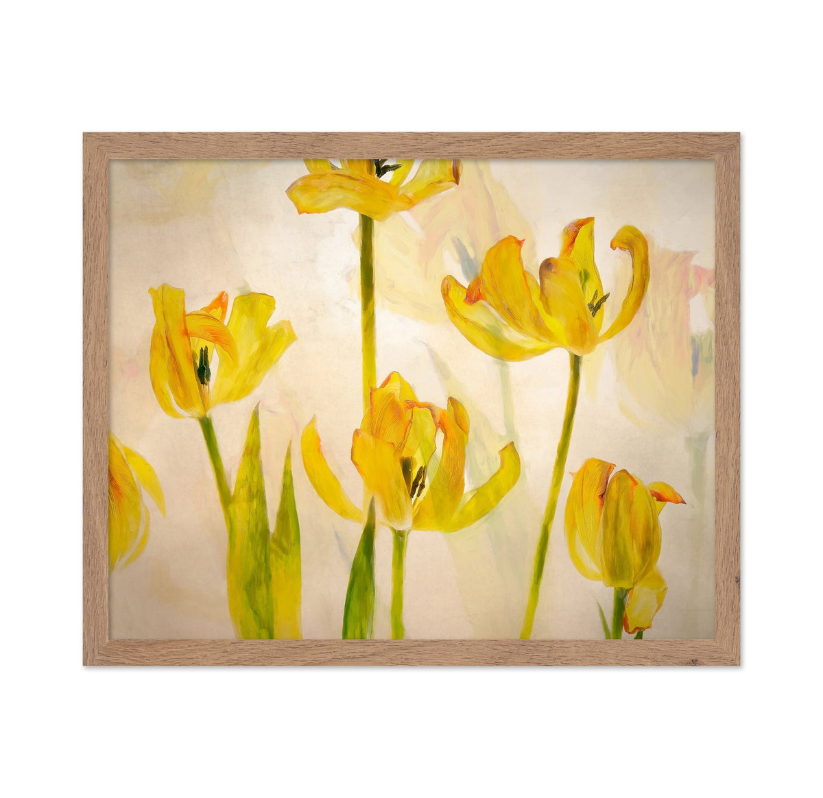 Golden Tulip Bloom
