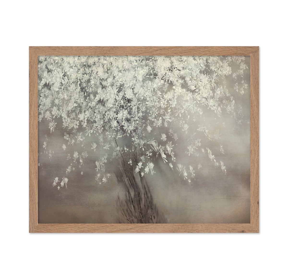 Spring Blossom Tree