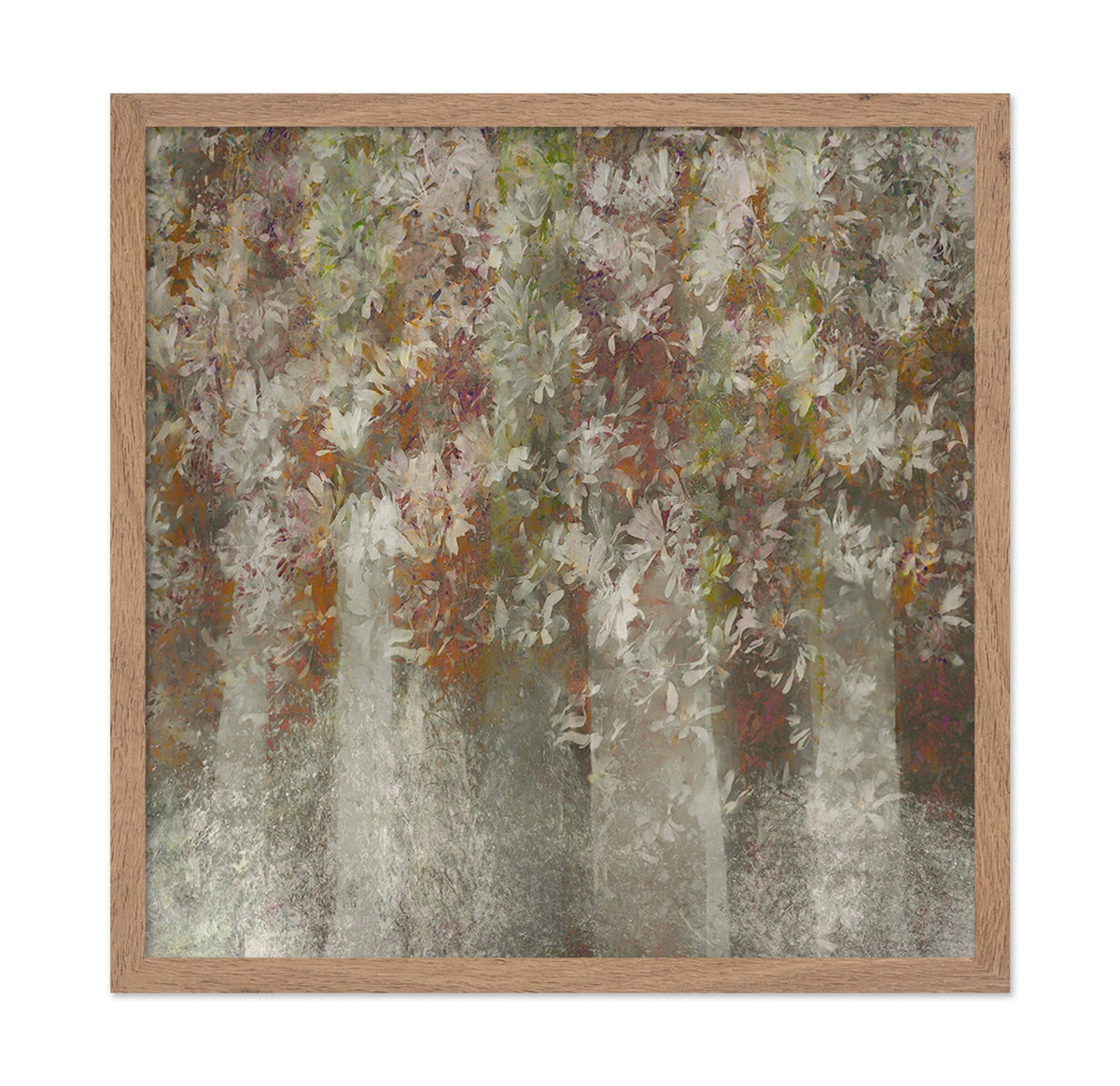 Soft Magnolia Canopy