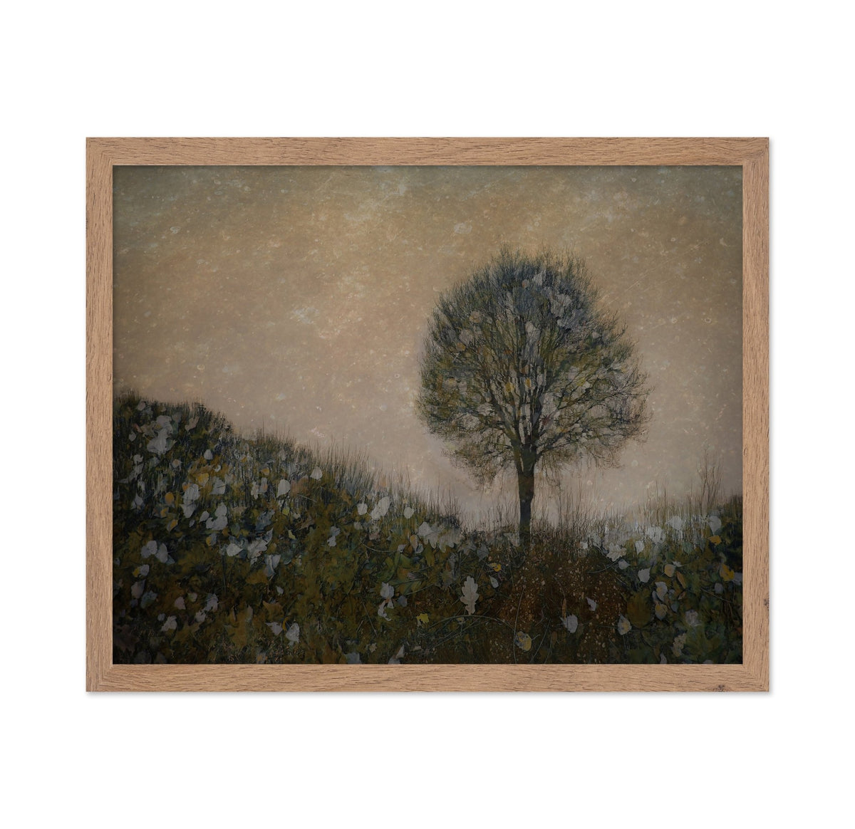 Solitary Tree Field