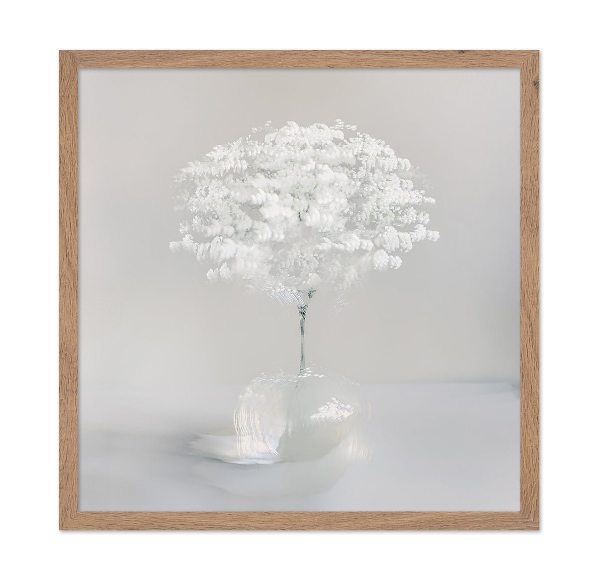 Pure White Bloom