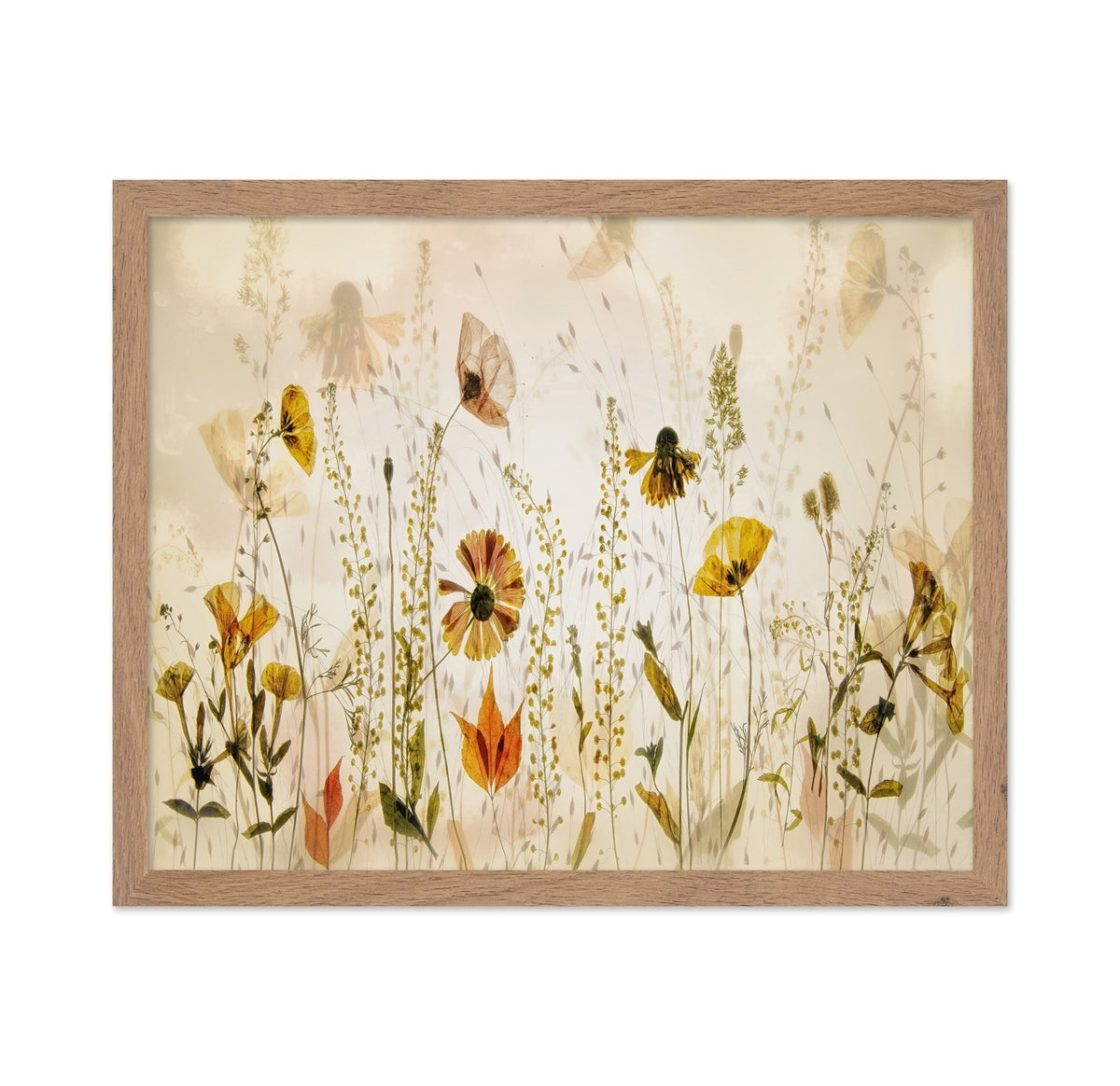 Wild Meadow Blooms