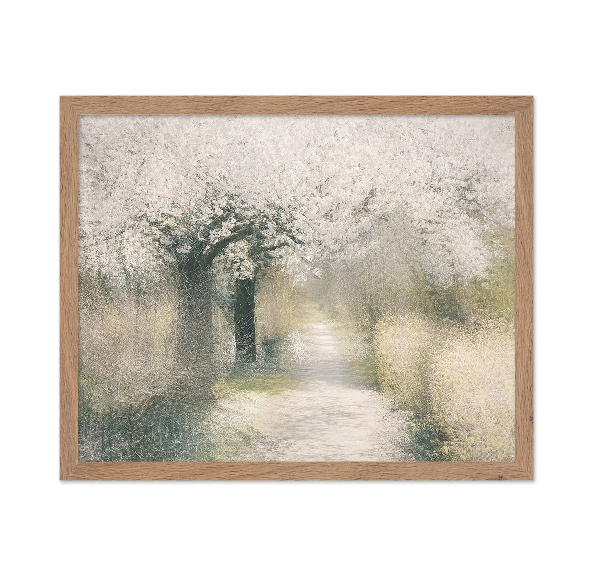 Blossom Pathway