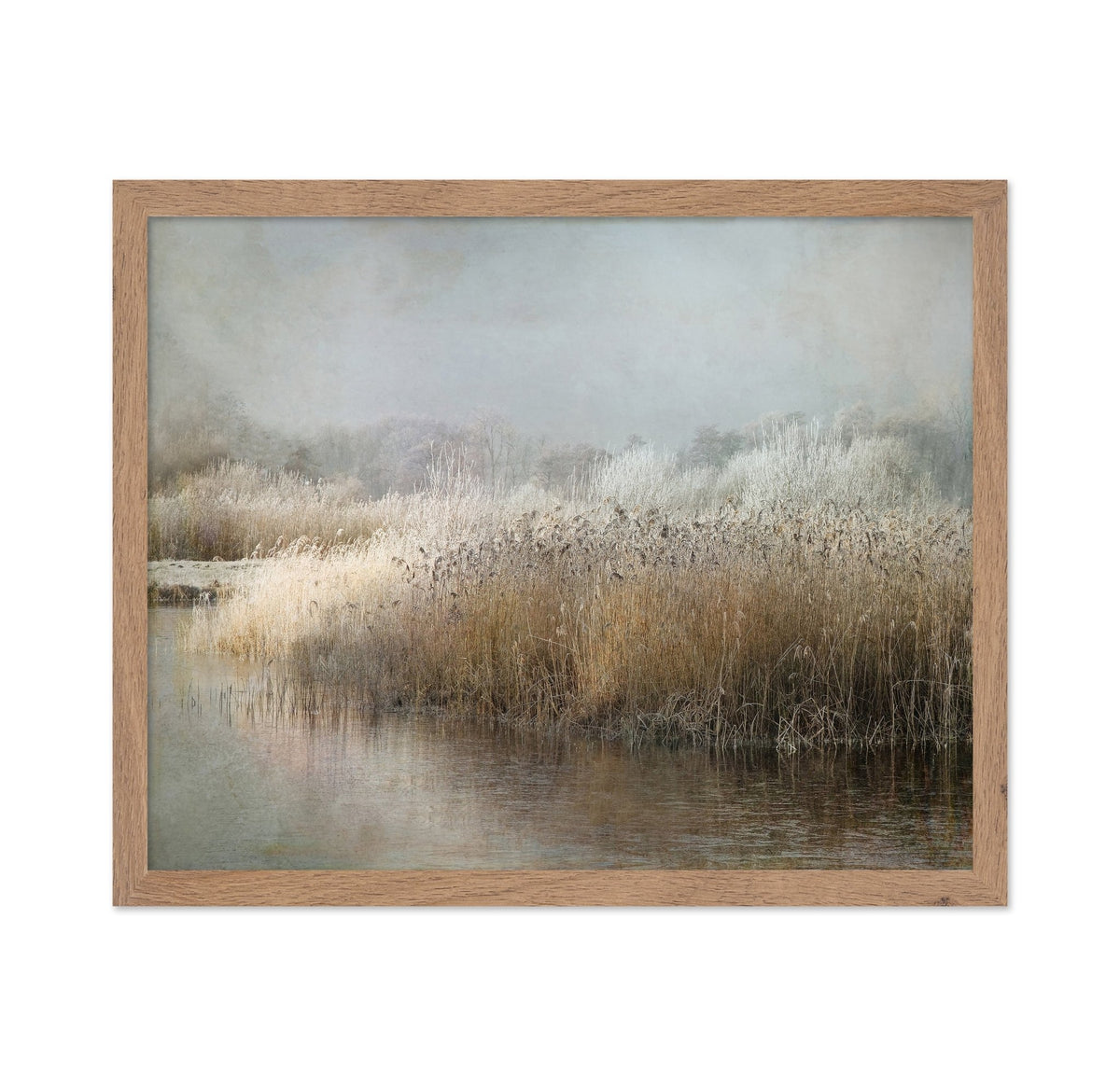 Frosted Winter Marsh