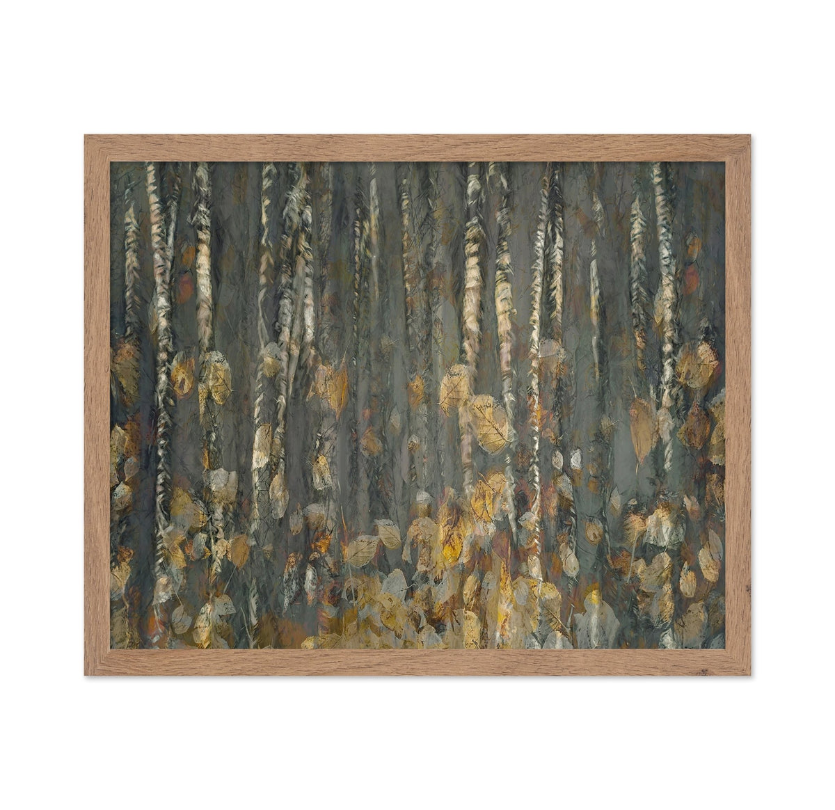 Autumn Birch Forest