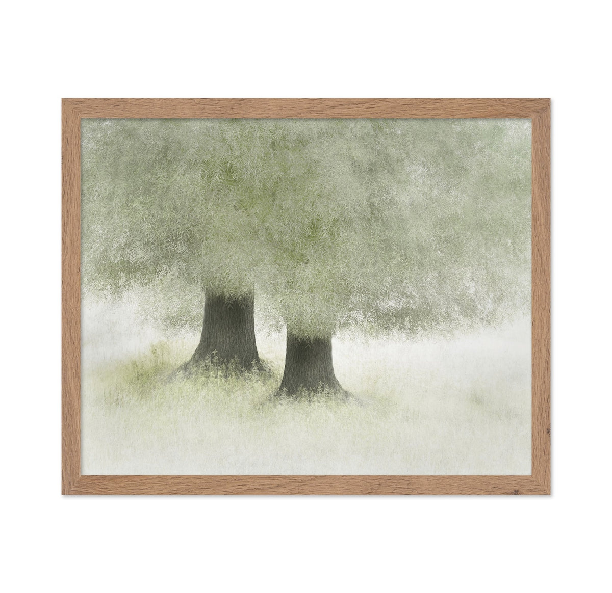 Quiet Forest Companions