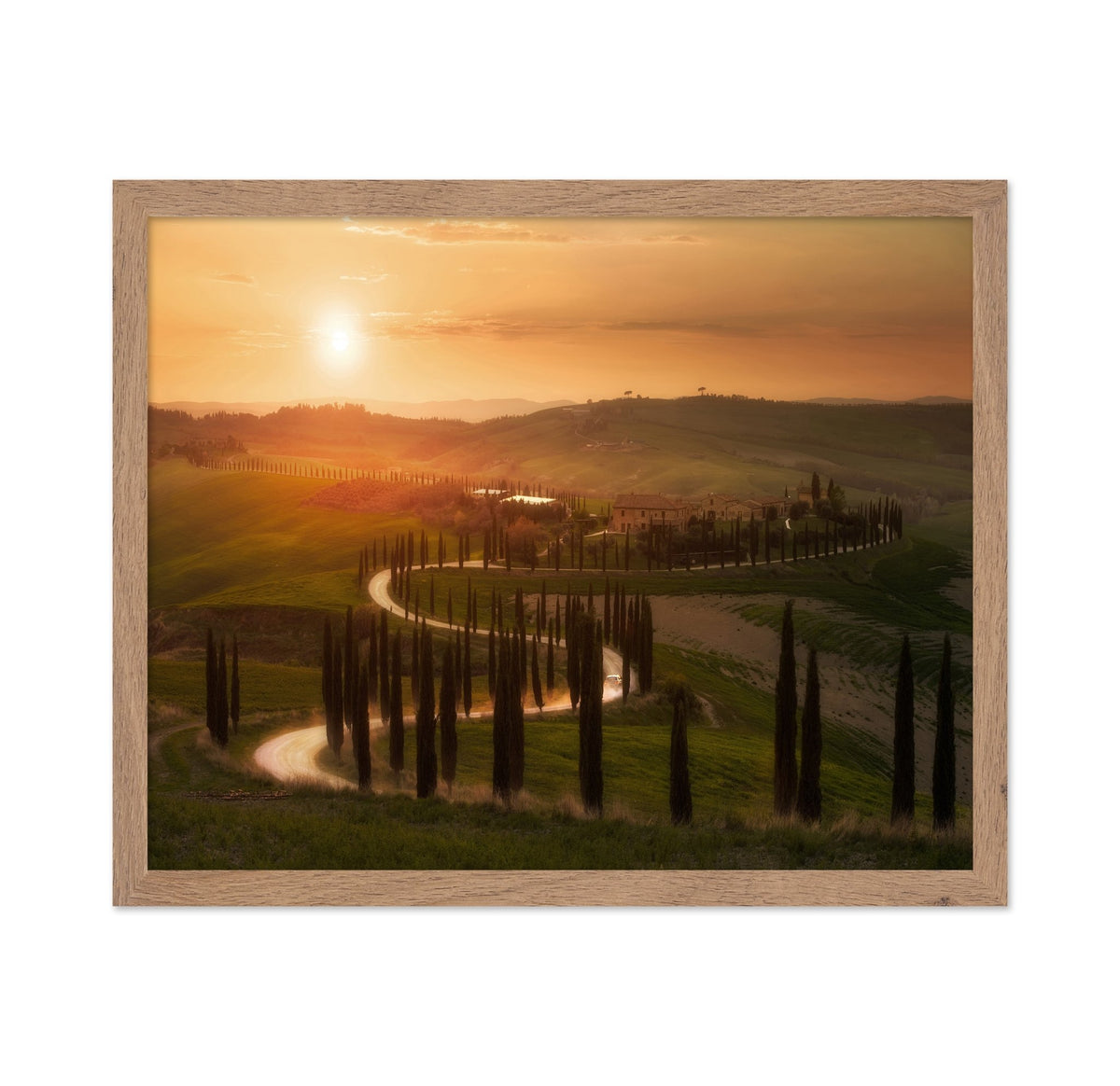 Golden Tuscany Evening