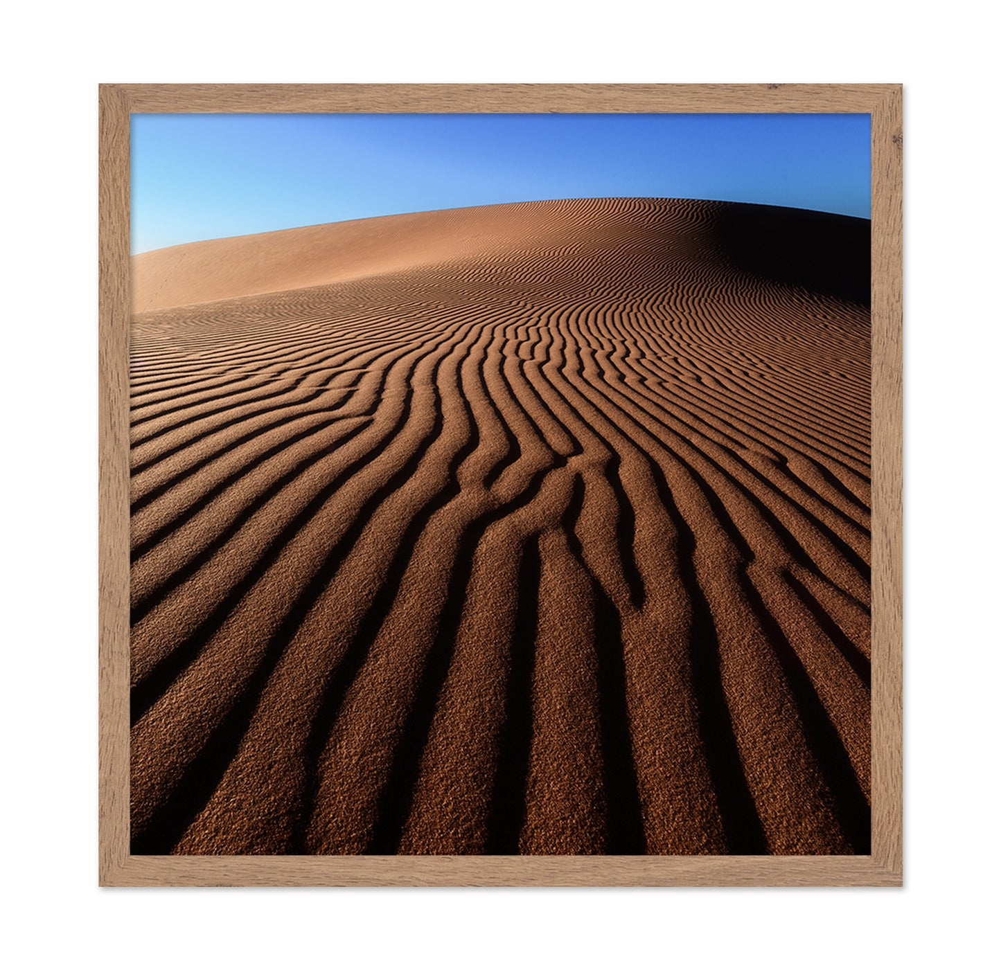 Desert Sand Patterns