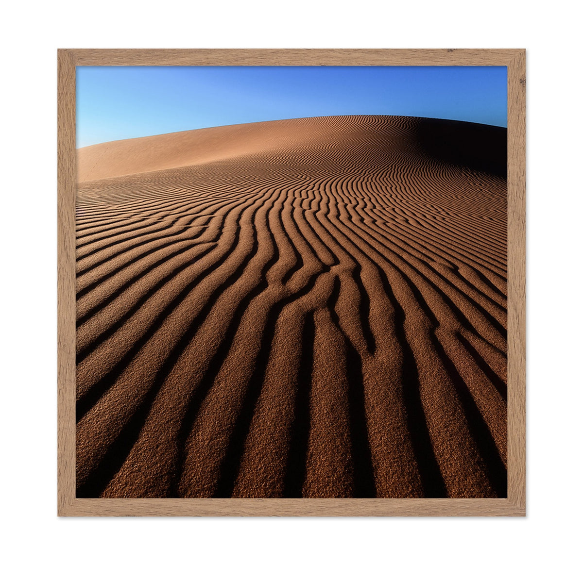 Desert Sand Patterns