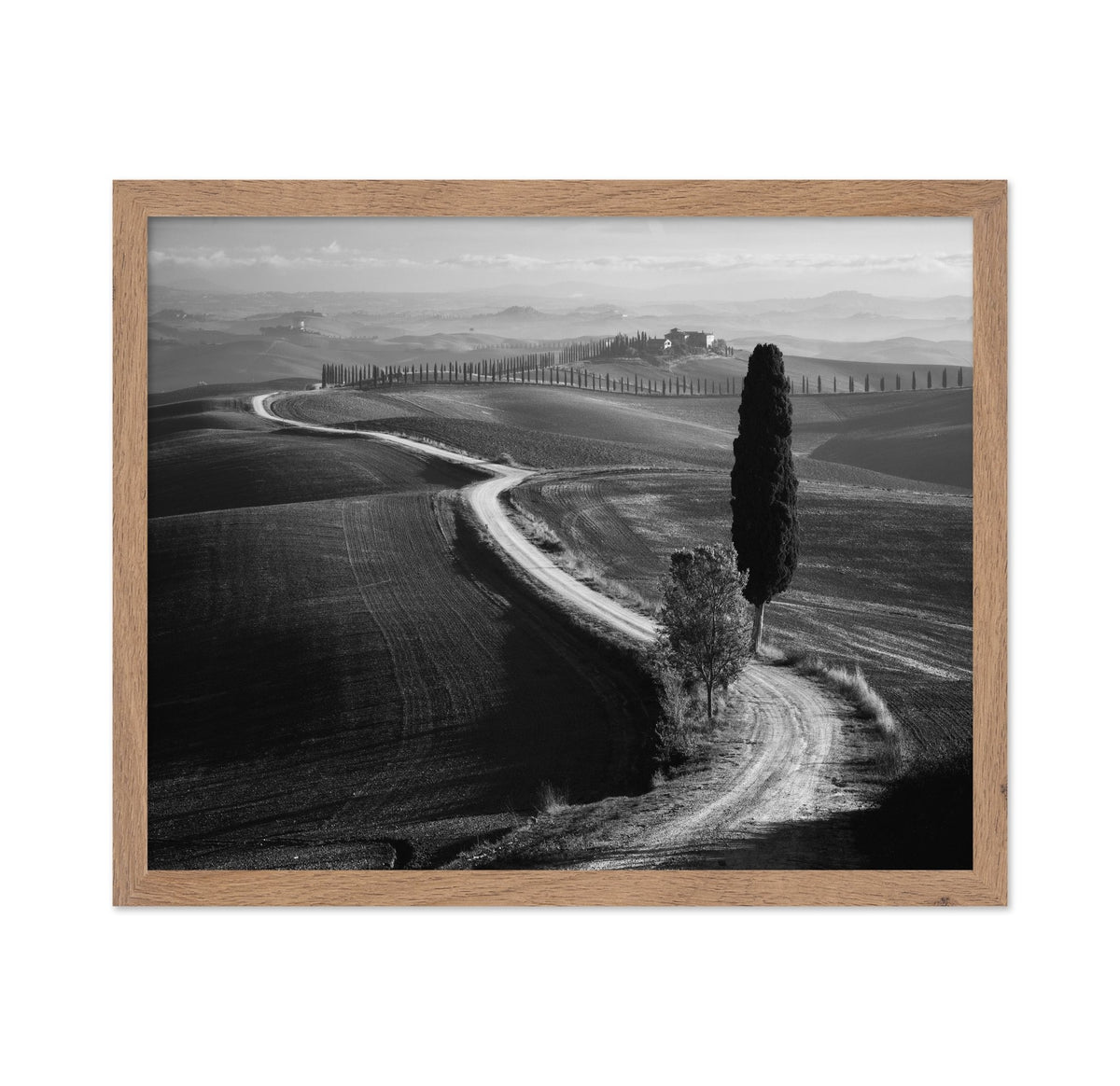 Tuscan Morning Path