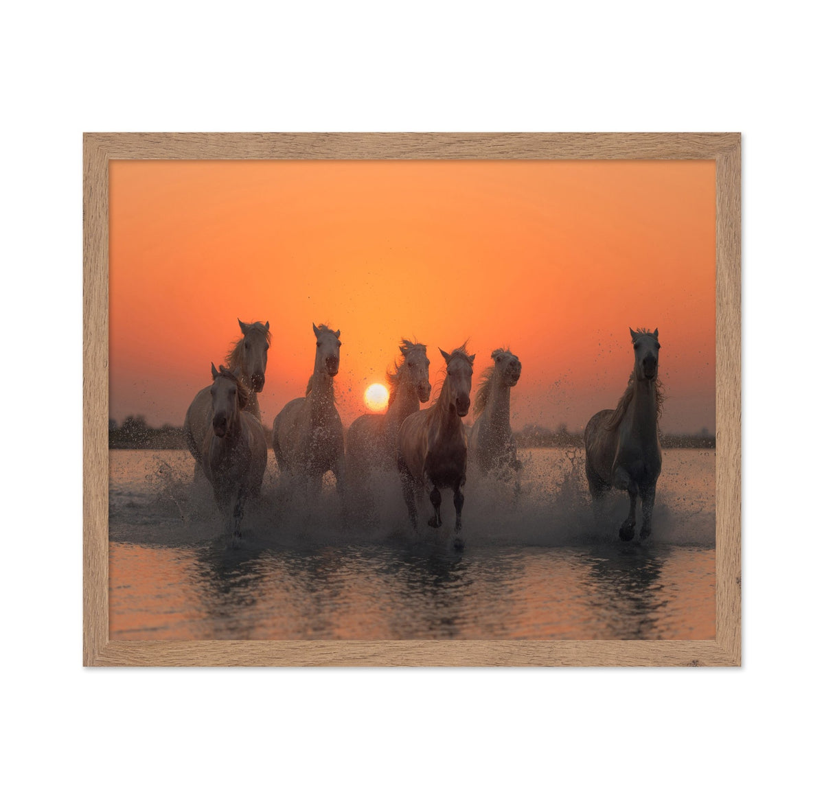 Wild Horses at Sunset