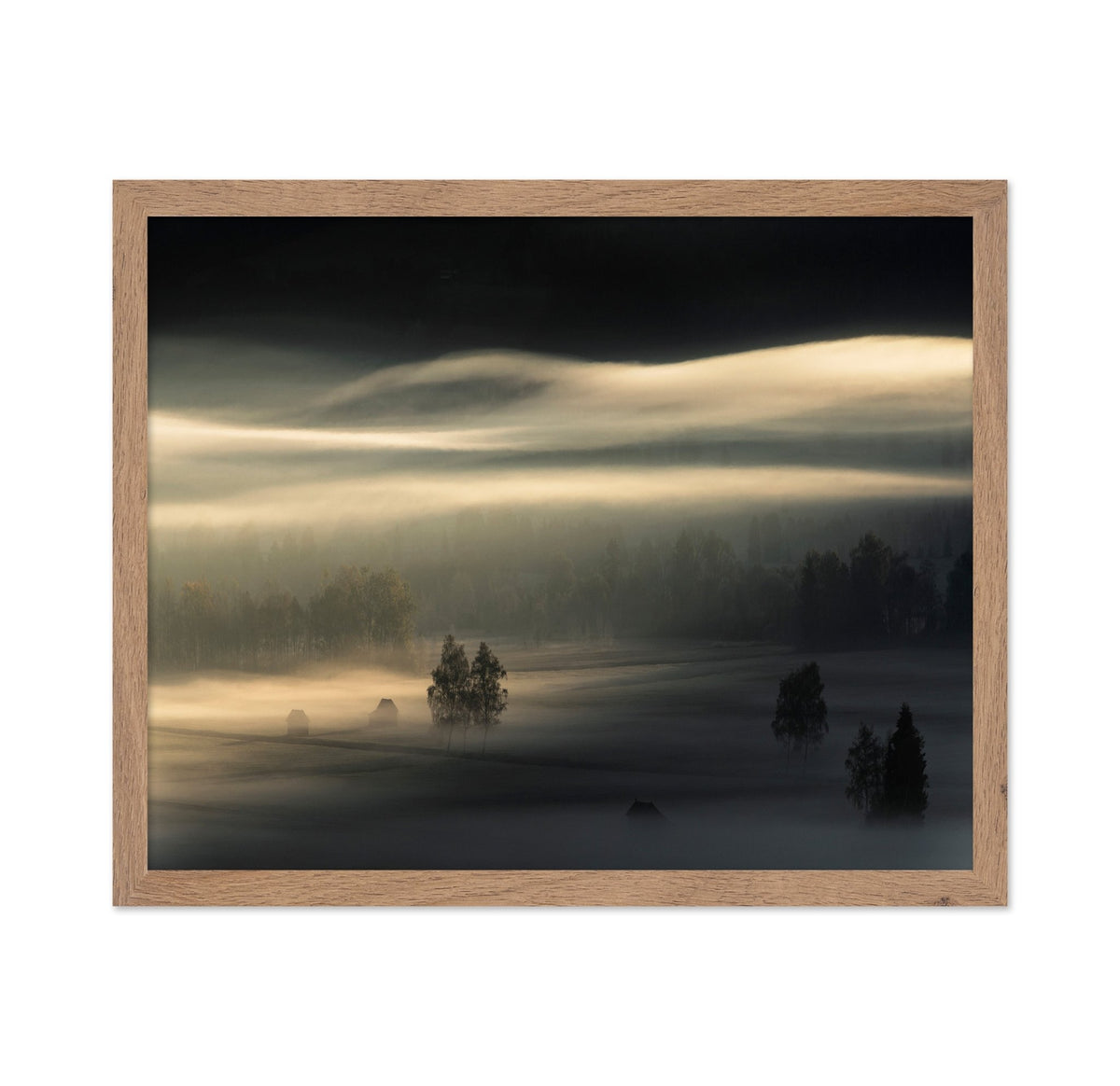 Golden Mist Fields
