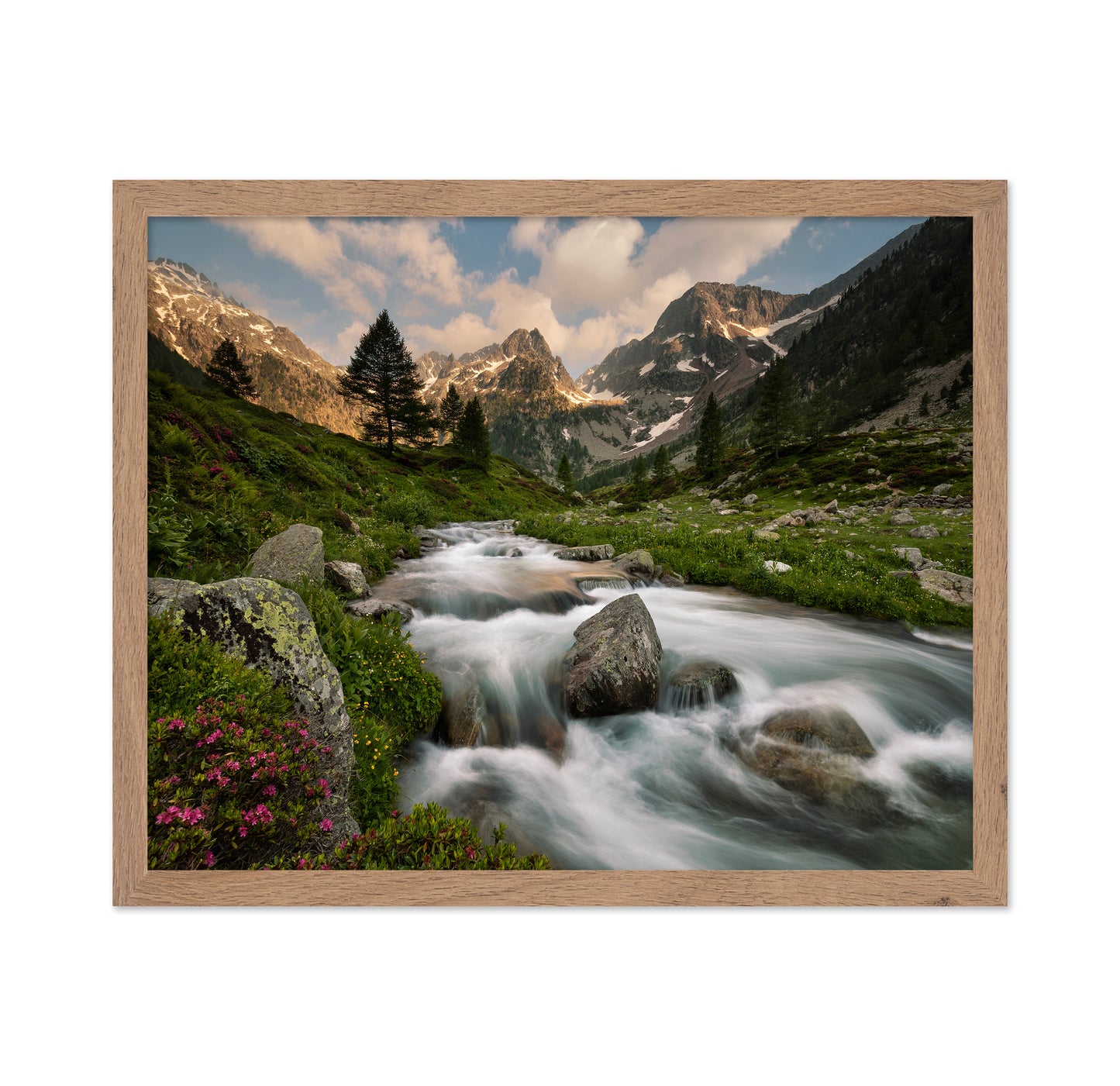Alpine River Valley