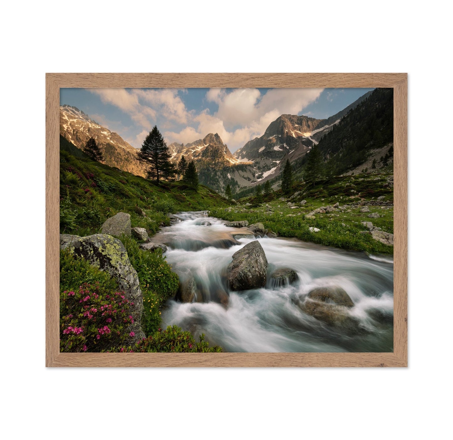 Alpine River Valley