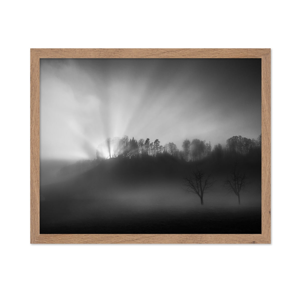 Sun Rays in Fog