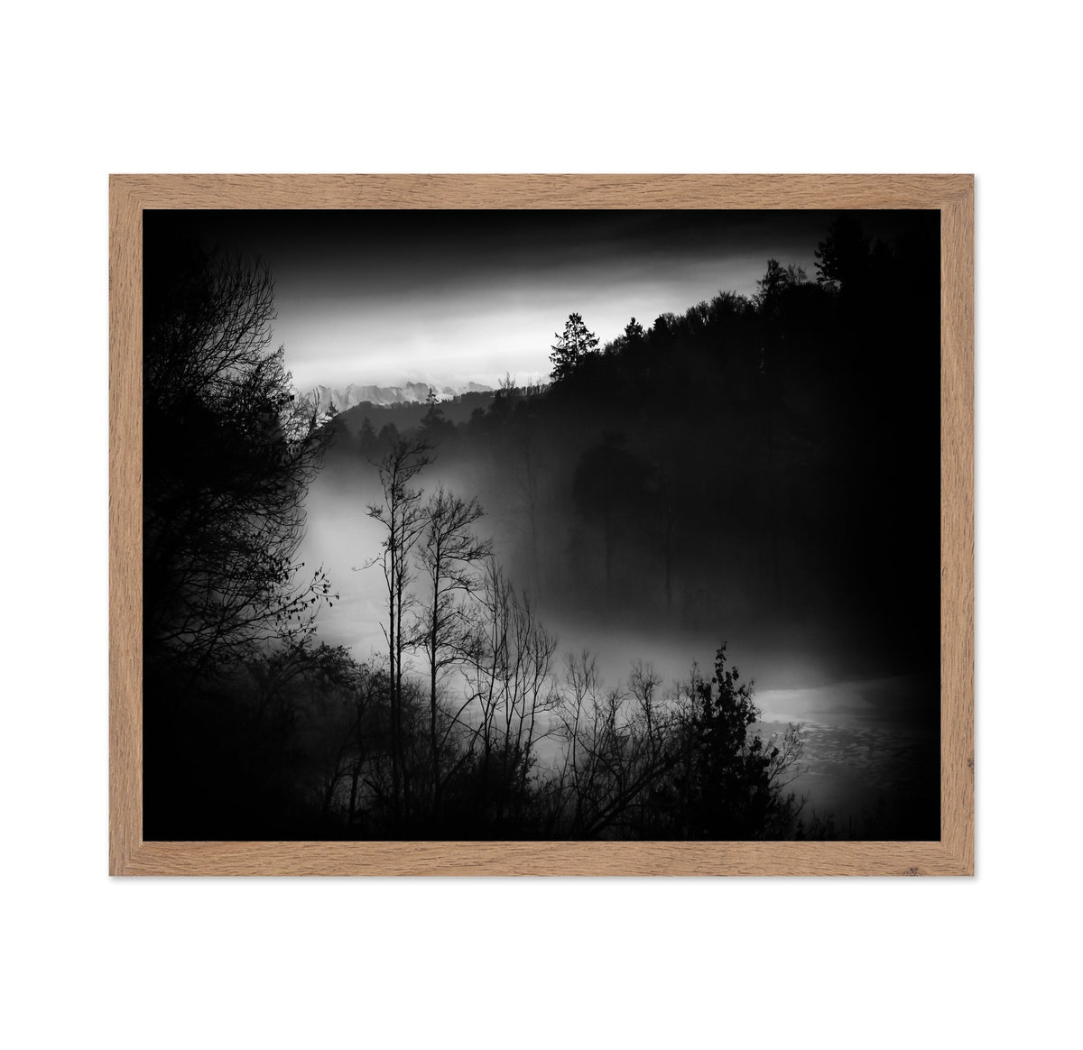 Foggy River Valley