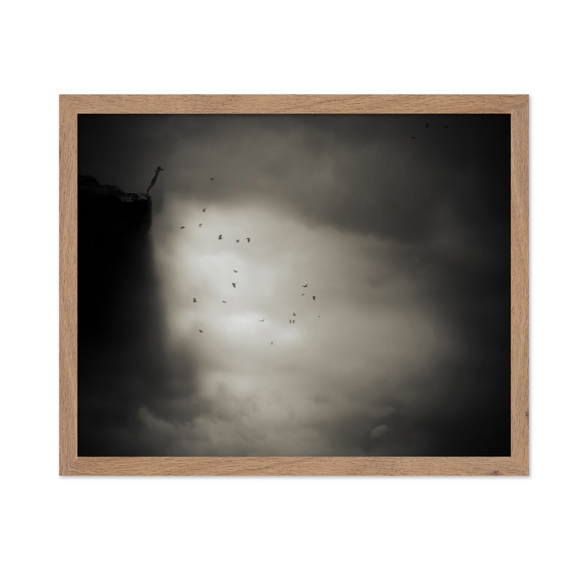 Birds in Dramatic Sky