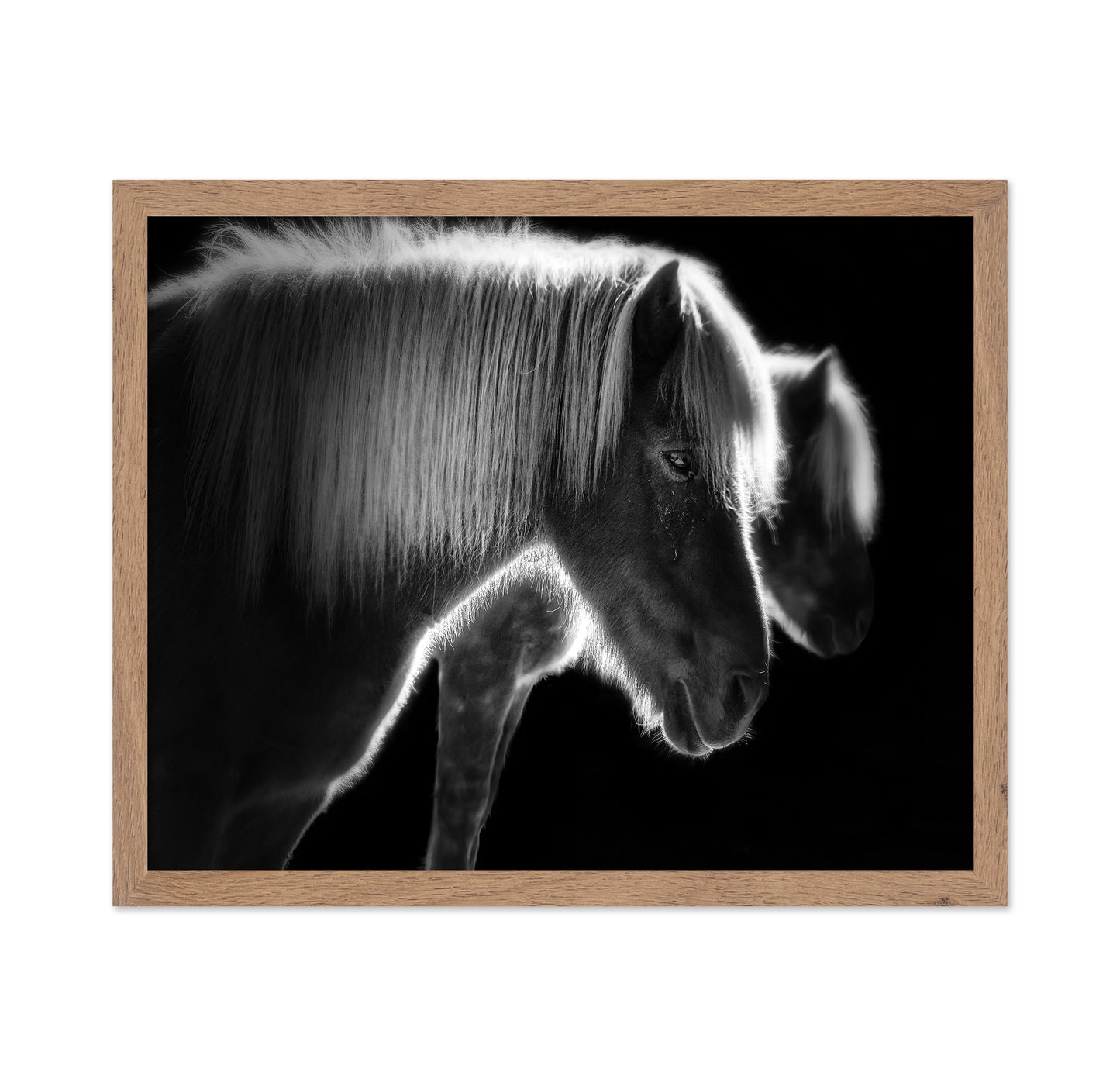 Majestic Twin Horses