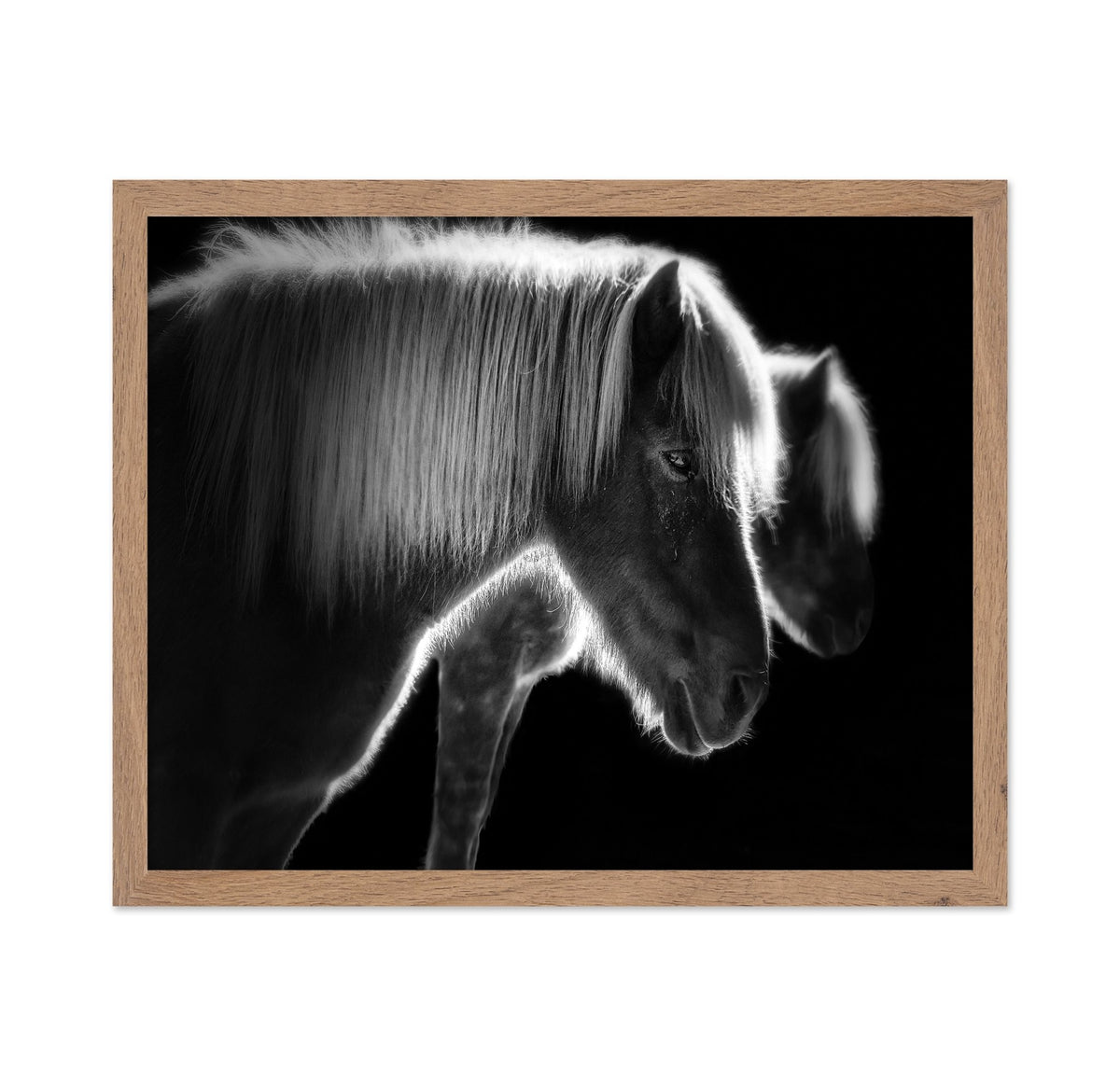 Majestic Twin Horses