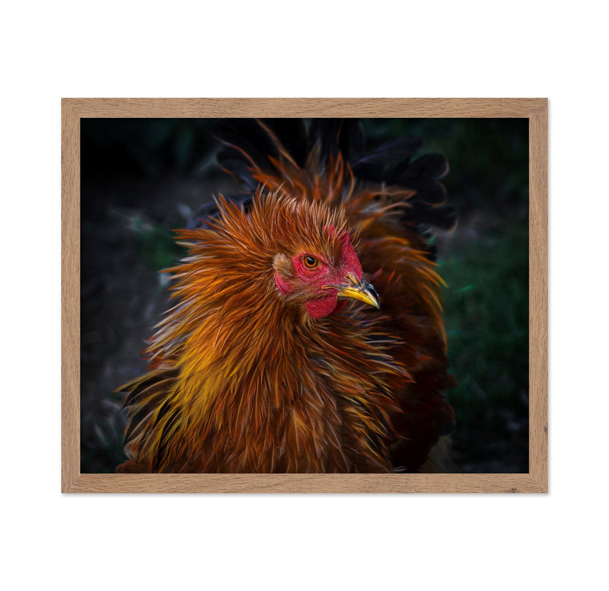 Punk Style Rooster