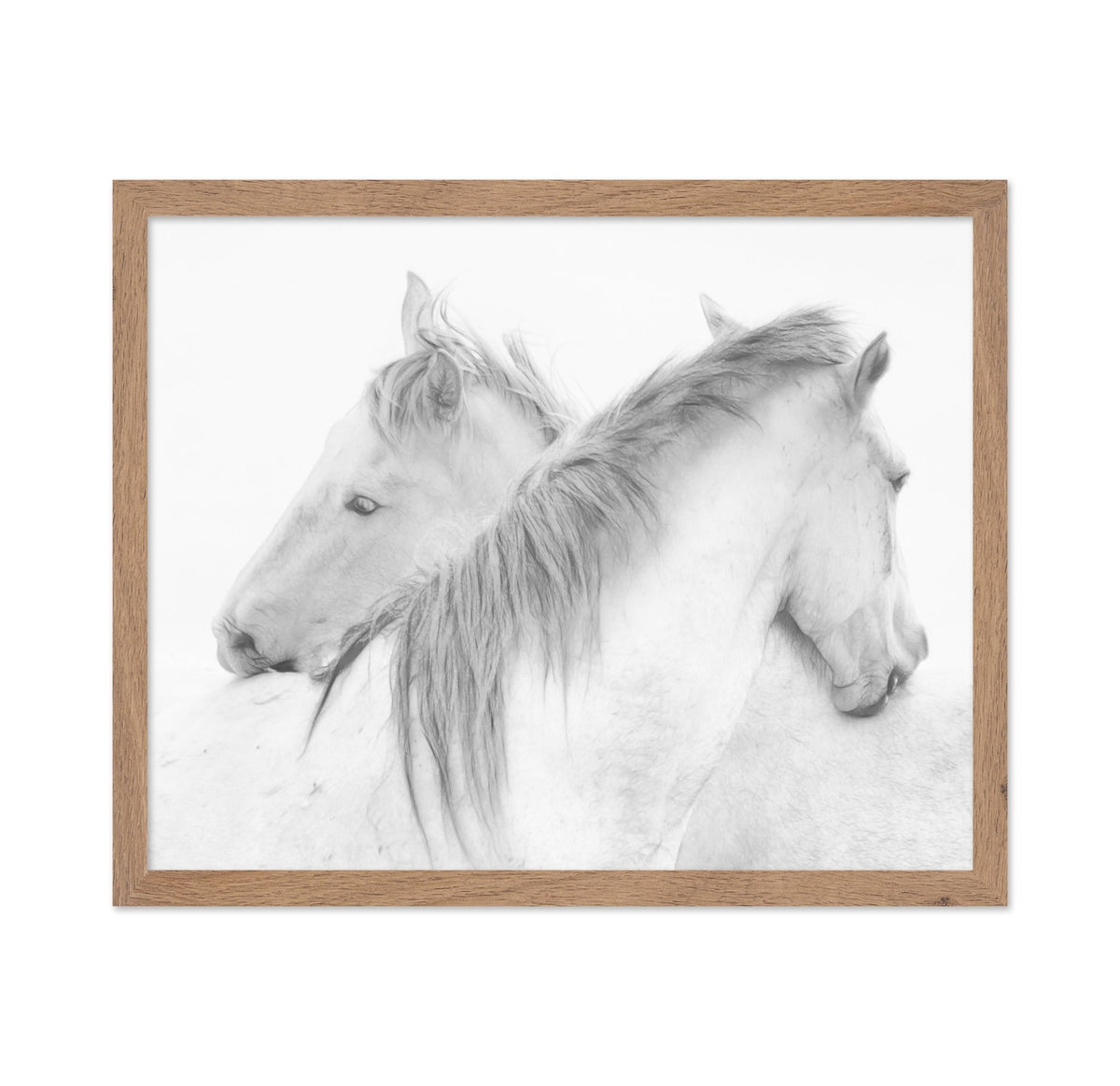 Gentle White Horses