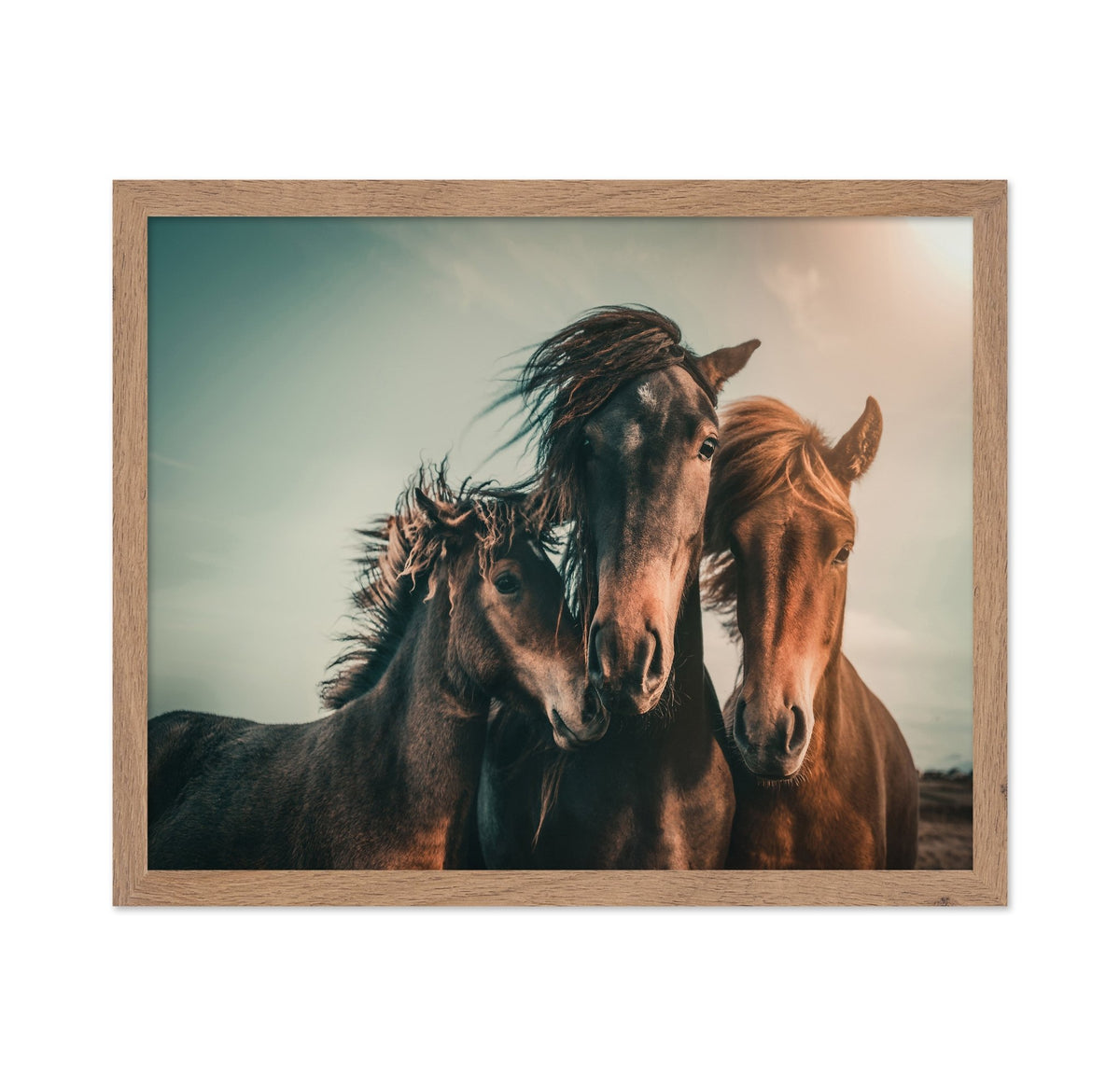 Wild Horse Trio