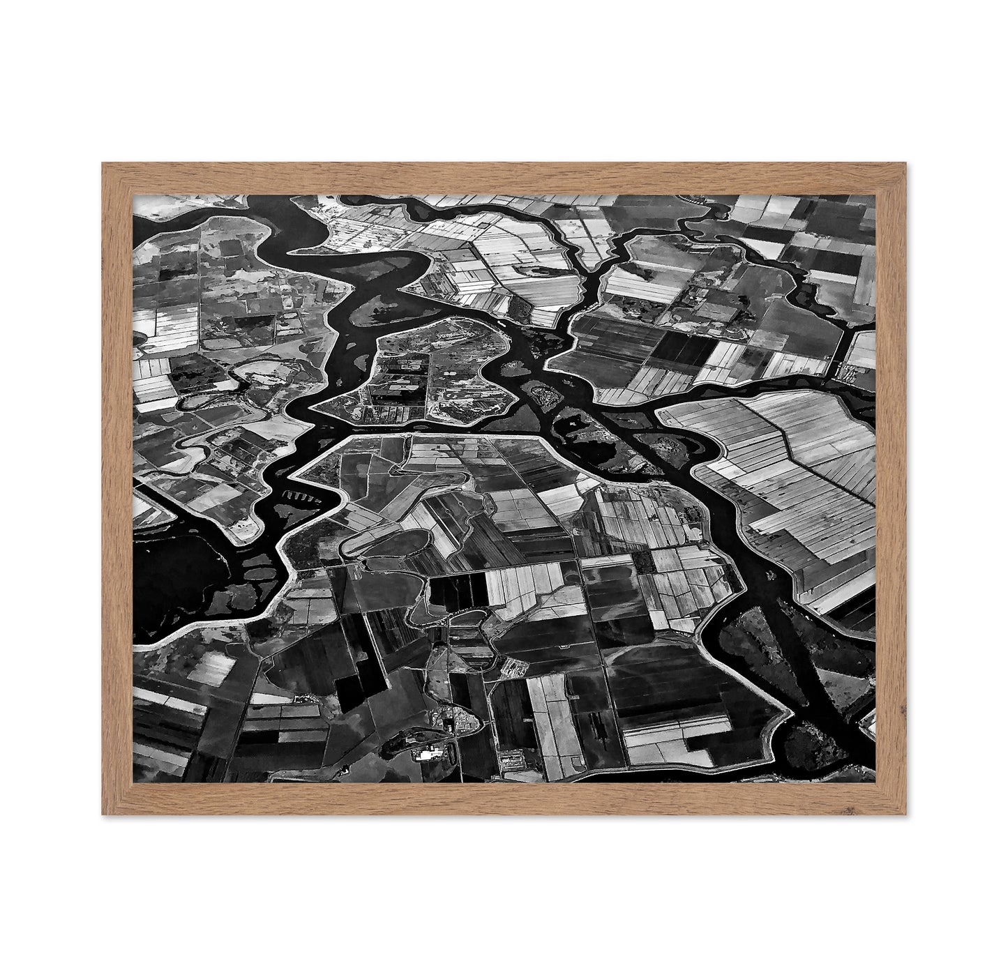 River Delta Patterns