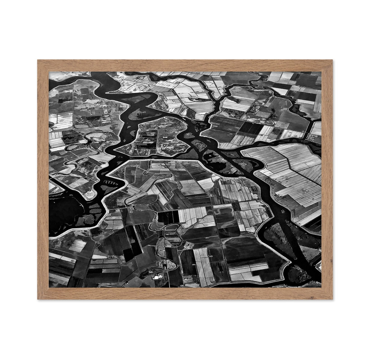 River Delta Patterns