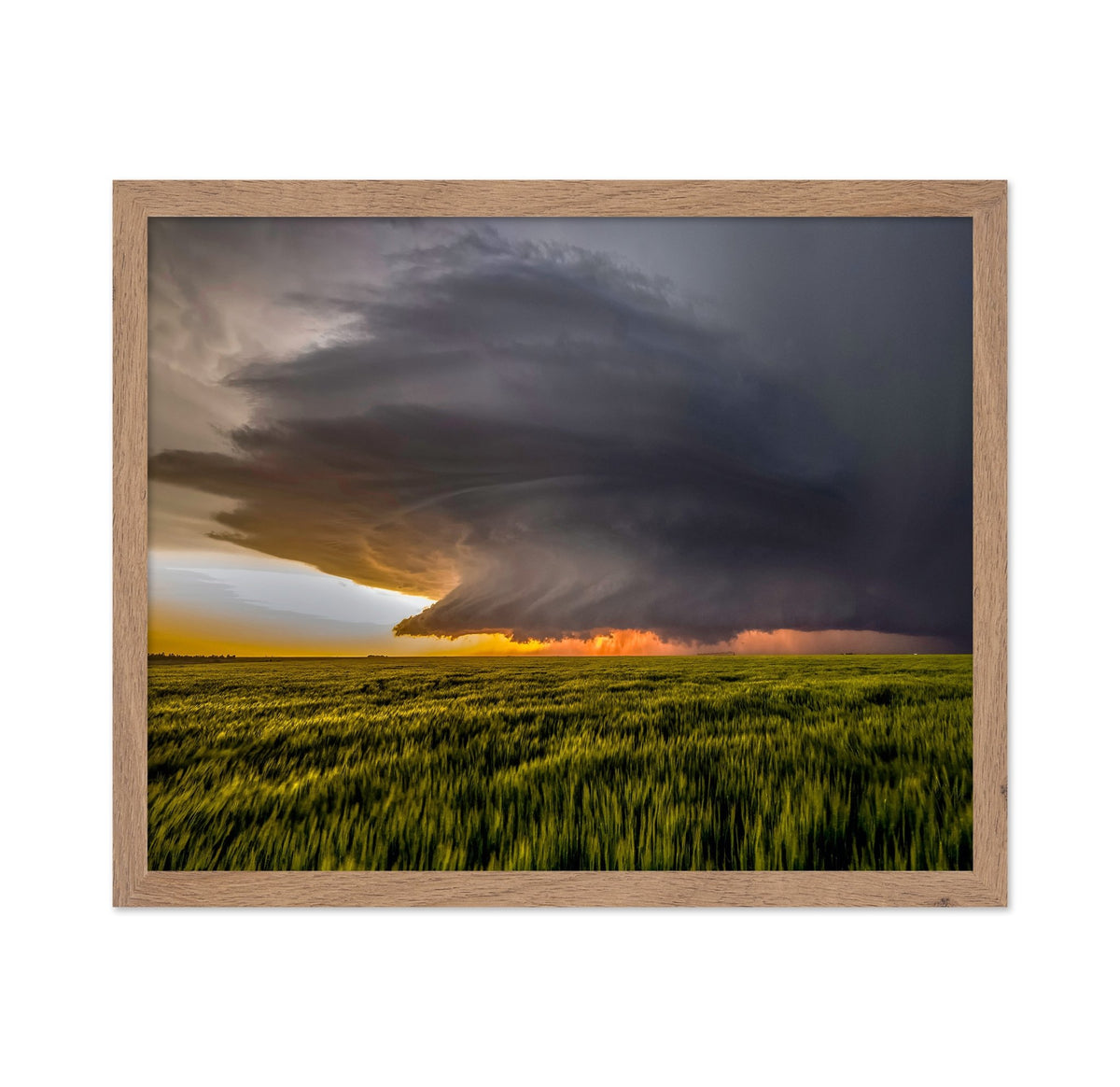 Sunset Storm Fields