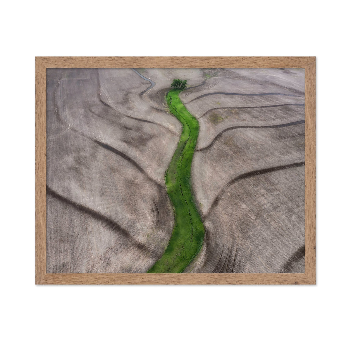 Green River Path