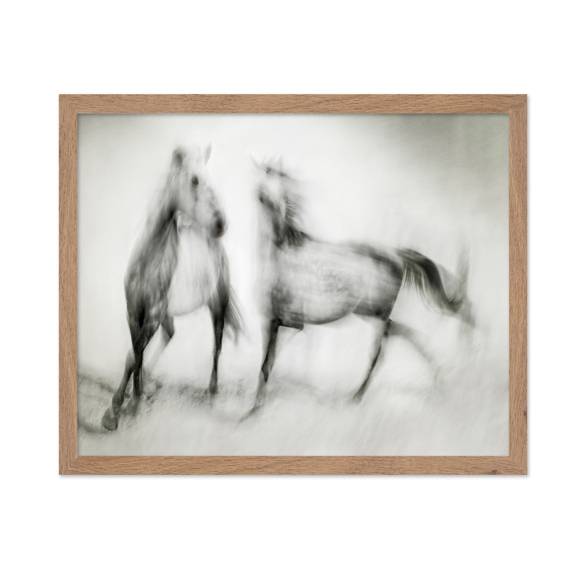 Blurred Horses Motion