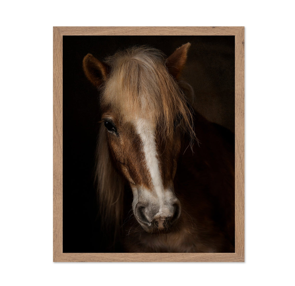 Horse Portrait Close-Up