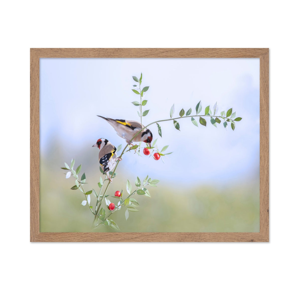 Birds on Berry Branch