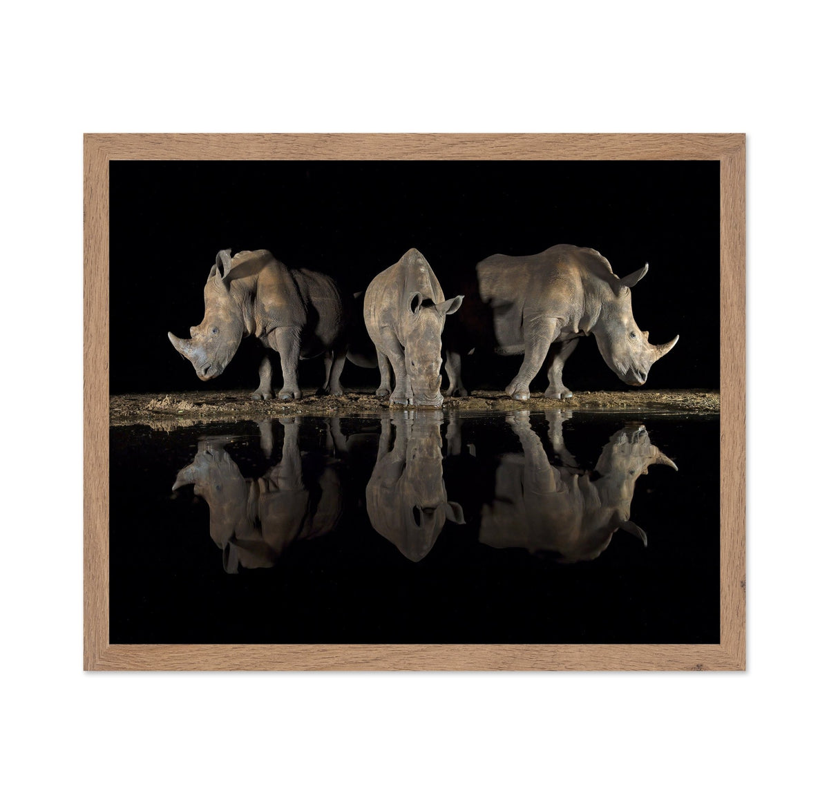 Rhinos at Night Reflection