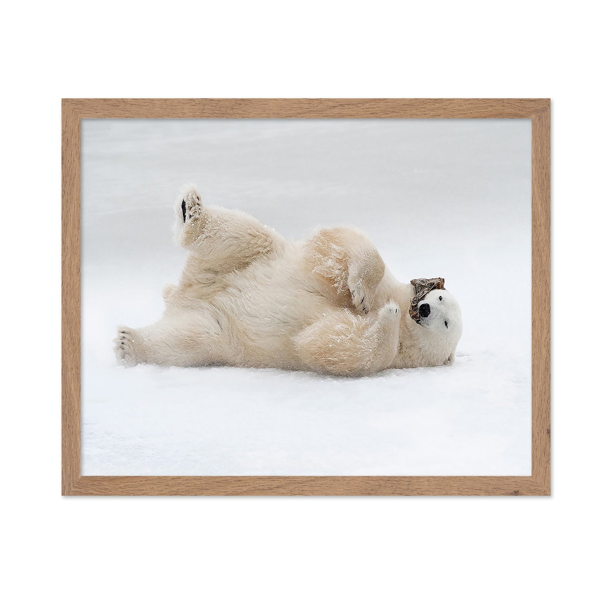 Playful Polar Bear