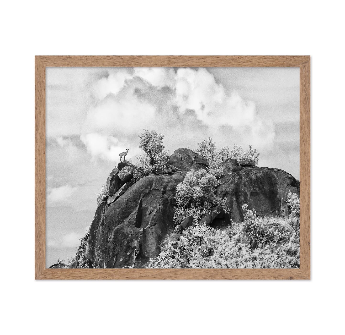 Klipspringer Summit